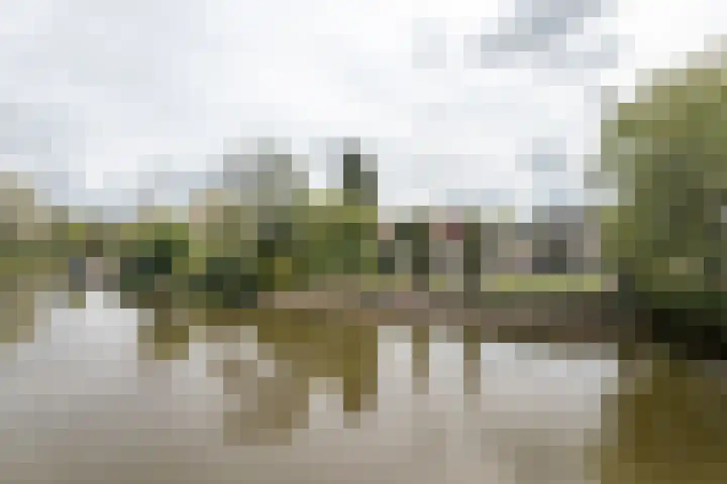 Rietpol 43 Drachten thumbnail 50