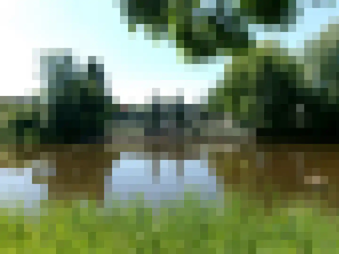 Rietpol 43 Drachten thumbnail 7