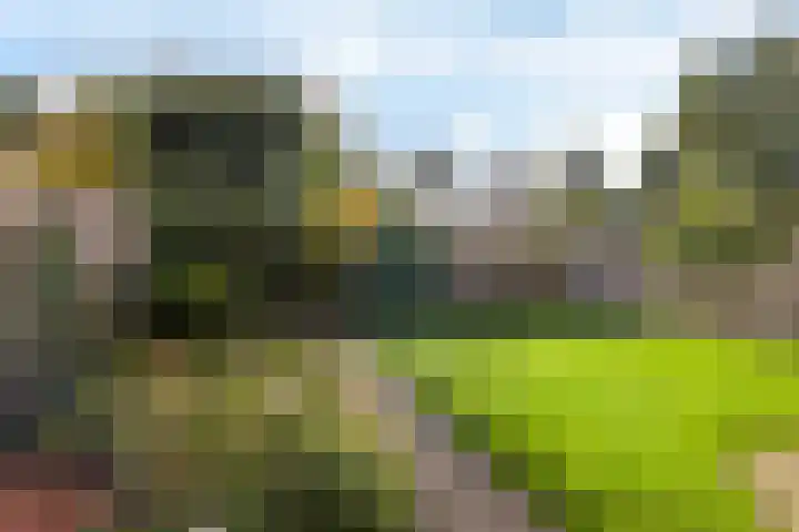 Rietpol 50 Drachten thumbnail 28