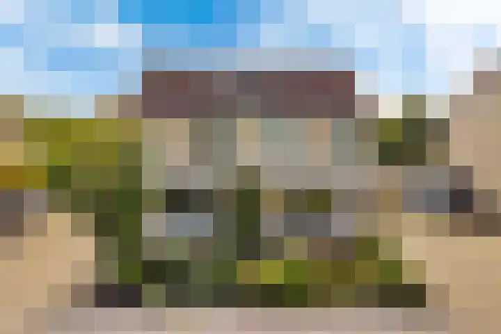 Rietpol 50 Drachten thumbnail 30