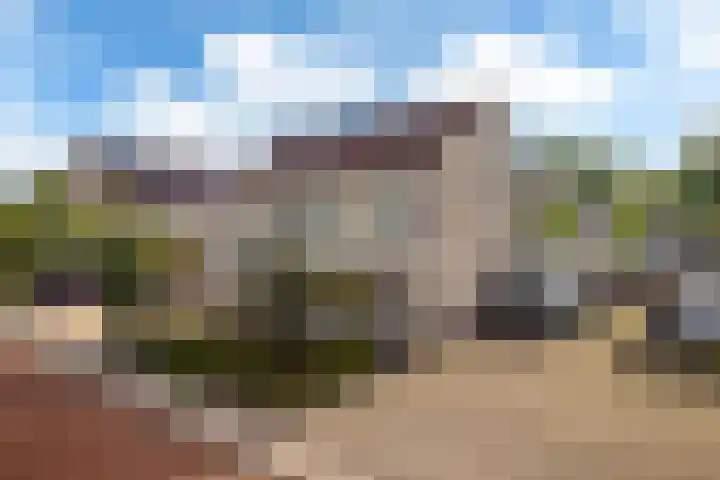 Rietpol 50 Drachten thumbnail 32