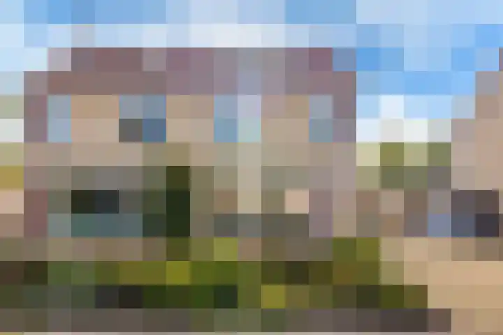Rietpol 50 Drachten thumbnail 33