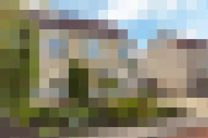Rietpol 50 Drachten thumbnail 34