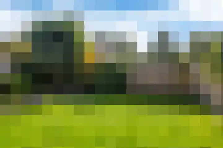 Rietpol 50 Drachten thumbnail 5