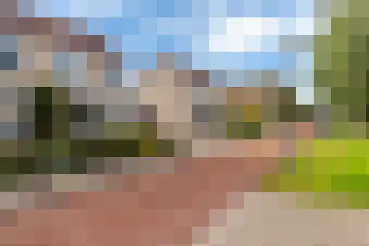 Rietpol 50 Drachten thumbnail 6