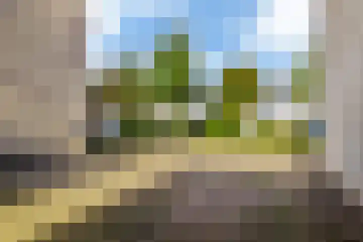 Rietpol 50 Drachten thumbnail 7