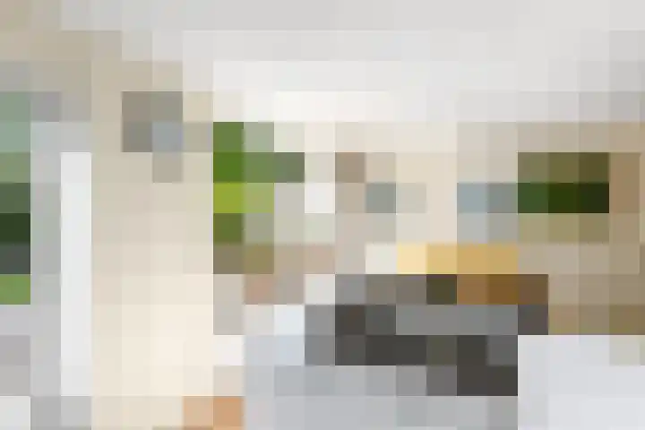Rietpol 8 Drachten thumbnail 11