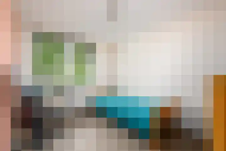 Rietpol 8 Drachten thumbnail 16