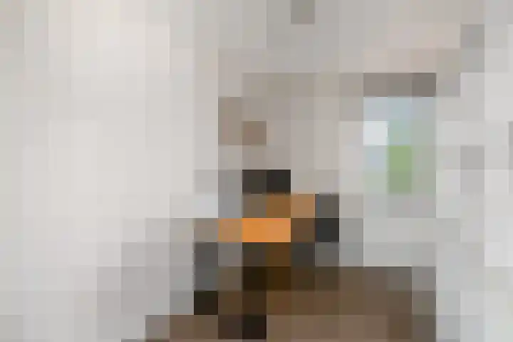 Rietpol 8 Drachten thumbnail 18