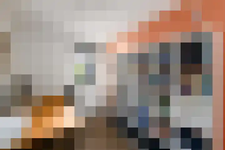 Rietpol 8 Drachten thumbnail 19