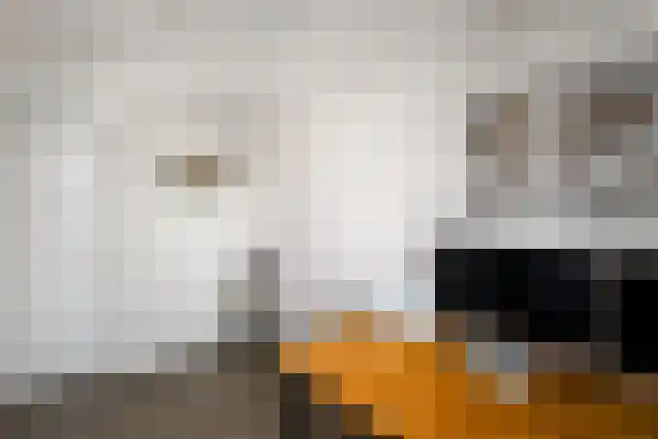 Rietpol 8 Drachten thumbnail 20