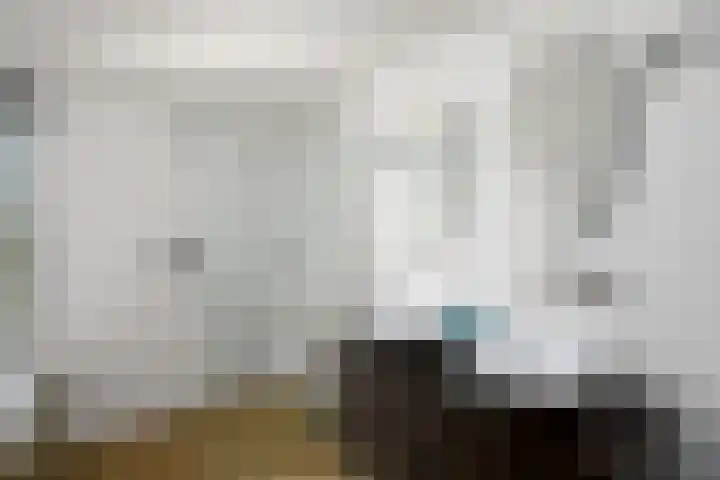 Rietpol 8 Drachten thumbnail 21