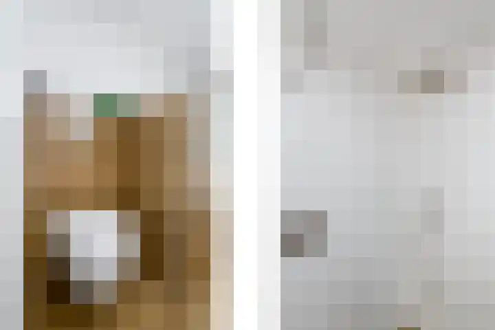 Rietpol 8 Drachten thumbnail 24