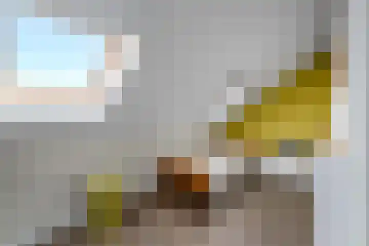 Rietpol 8 Drachten thumbnail 27