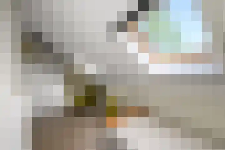 Rietpol 8 Drachten thumbnail 28