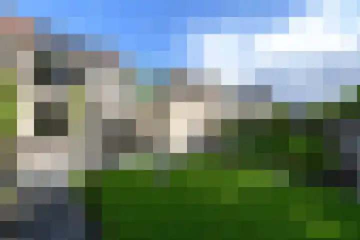 Rietpol 8 Drachten thumbnail 29