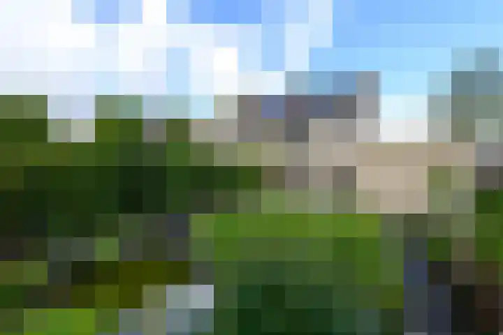 Rietpol 8 Drachten thumbnail 30