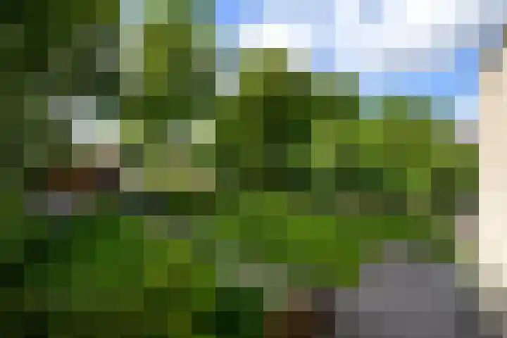 Rietpol 8 Drachten thumbnail 31