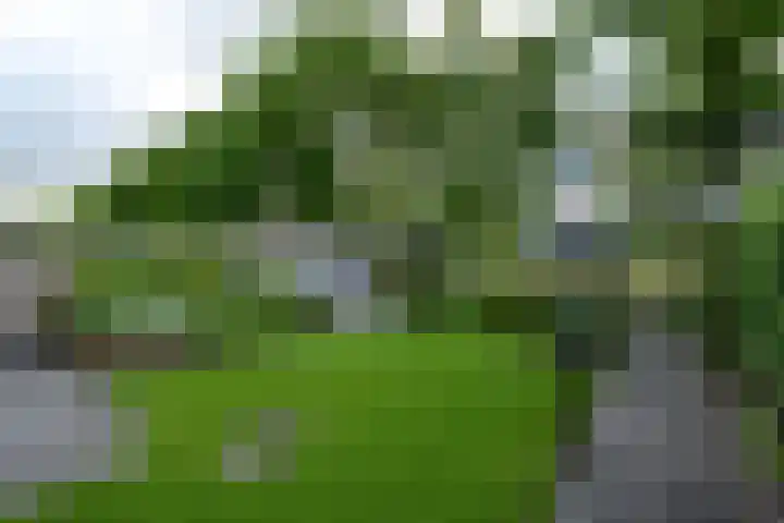 Rietpol 8 Drachten thumbnail 32