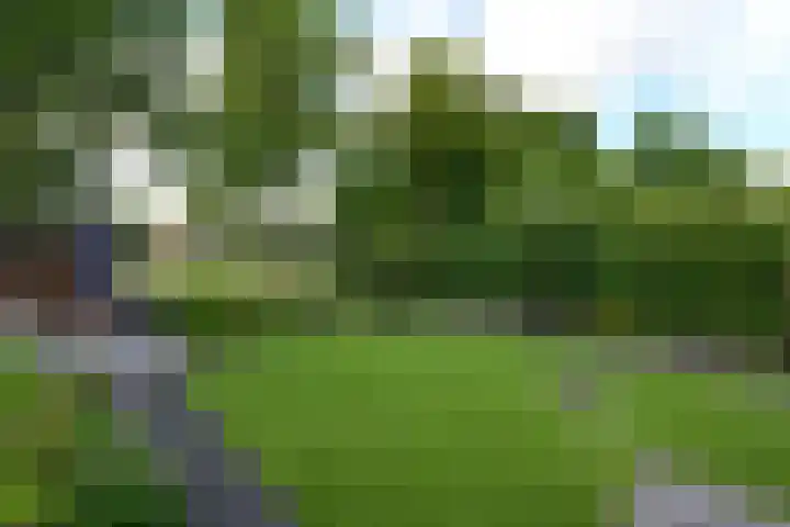 Rietpol 8 Drachten thumbnail 33