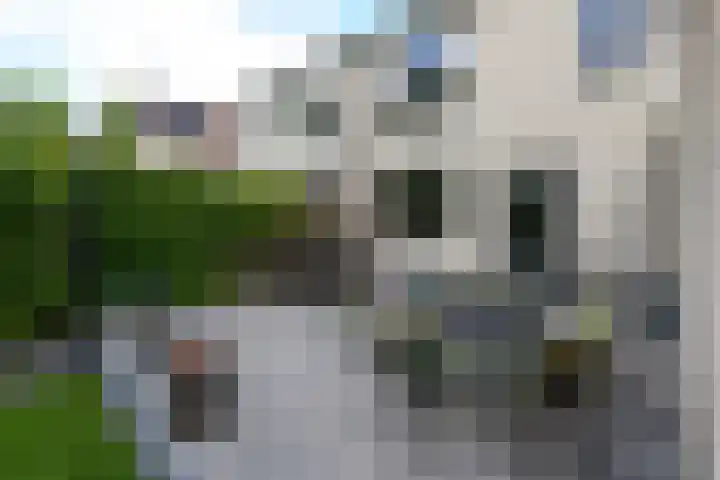 Rietpol 8 Drachten thumbnail 34