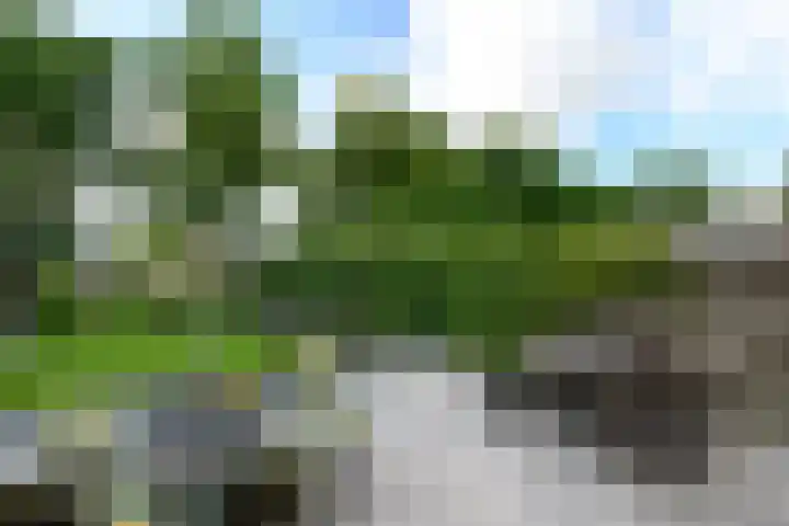 Rietpol 8 Drachten thumbnail 35