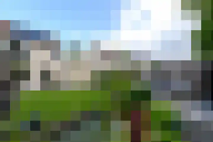 Rietpol 8 Drachten thumbnail 36