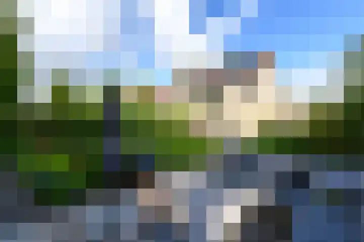 Rietpol 8 Drachten thumbnail 37