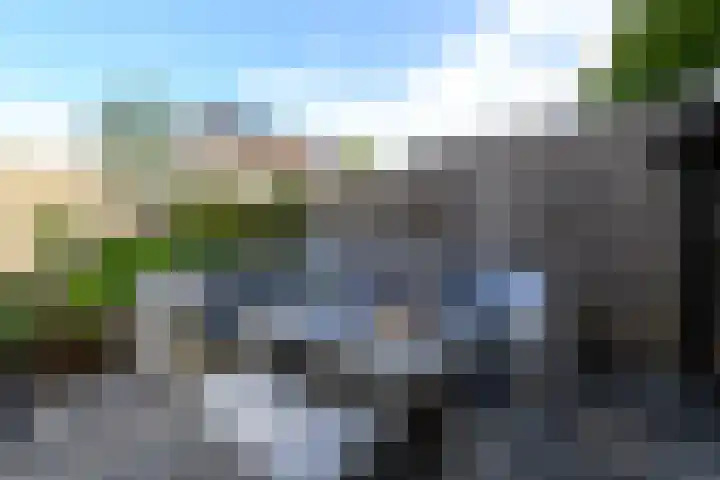 Rietpol 8 Drachten thumbnail 38