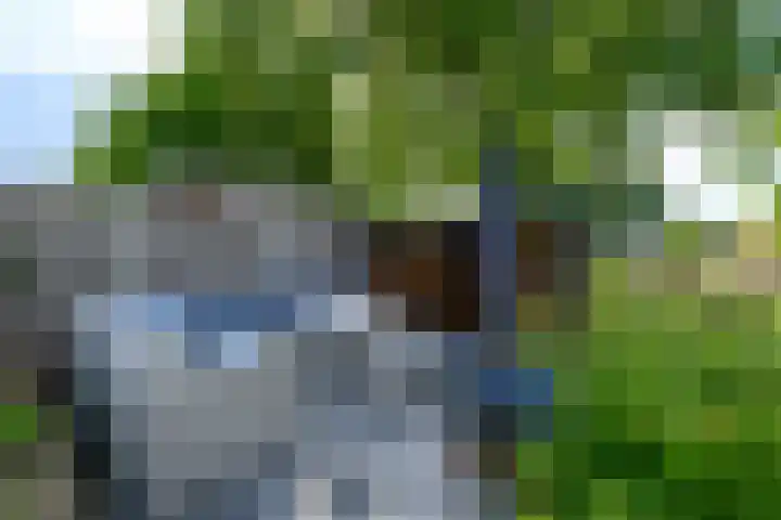 Rietpol 8 Drachten thumbnail 39