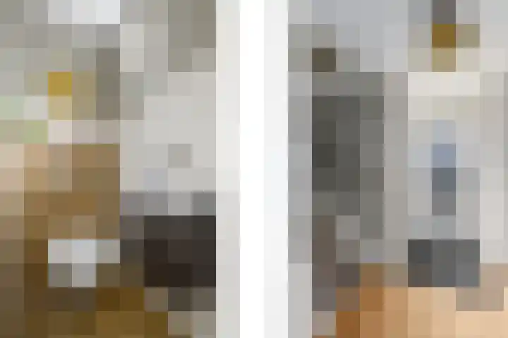 Rietpol 8 Drachten thumbnail 4