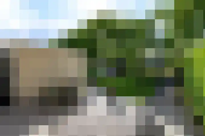 Rietpol 8 Drachten thumbnail 41