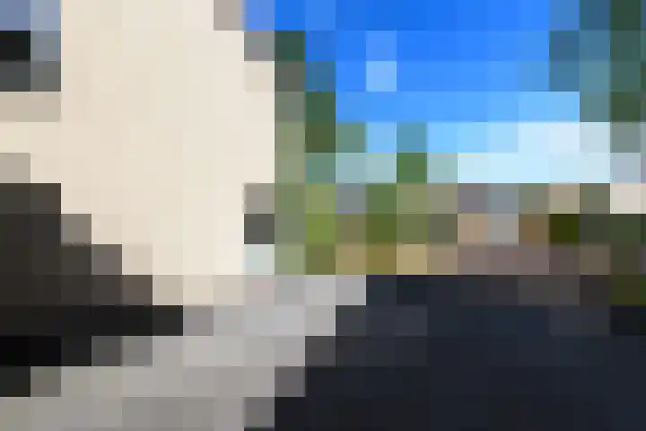 Rietpol 8 Drachten thumbnail 42