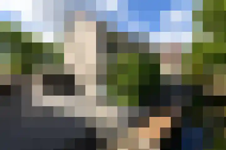 Rietpol 8 Drachten thumbnail 43