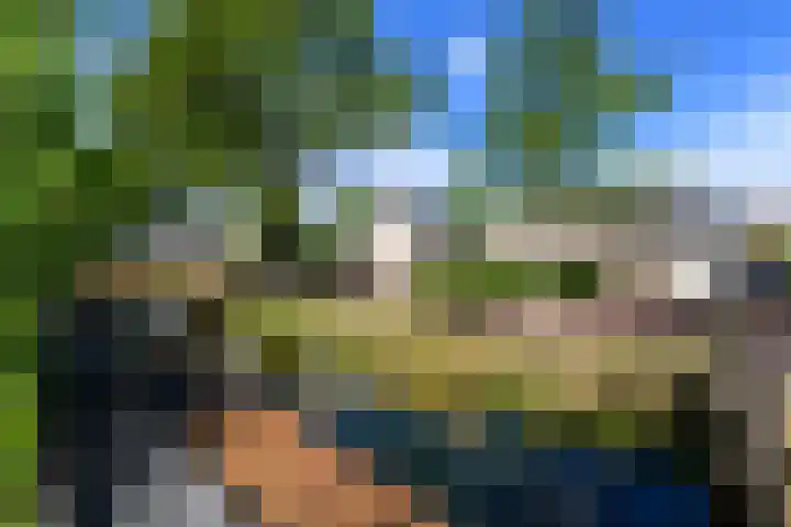 Rietpol 8 Drachten thumbnail 44