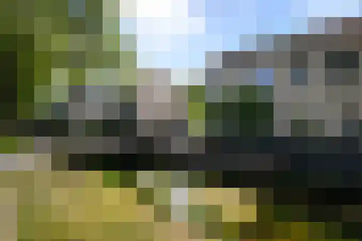 Rietpol 8 Drachten thumbnail 45