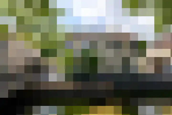 Rietpol 8 Drachten thumbnail 46