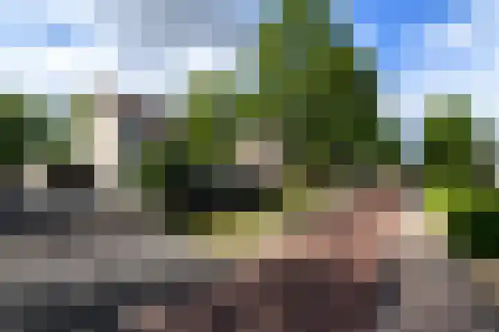 Rietpol 8 Drachten thumbnail 47