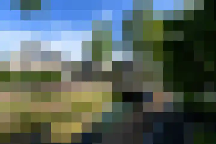 Rietpol 8 Drachten thumbnail 48