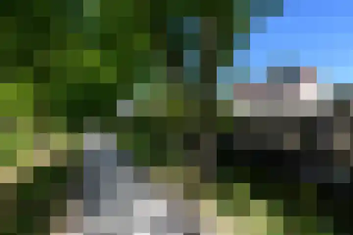 Rietpol 8 Drachten thumbnail 49