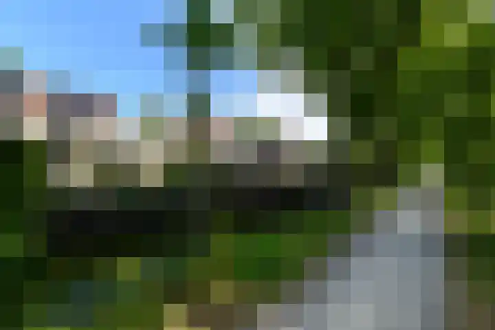 Rietpol 8 Drachten thumbnail 50