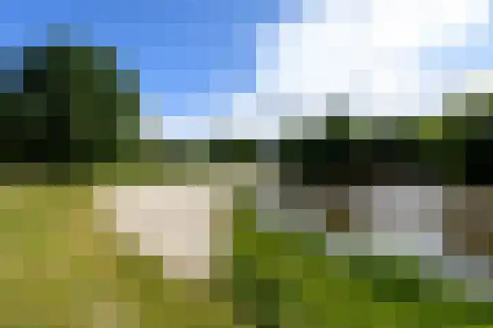 Rietpol 8 Drachten thumbnail 51