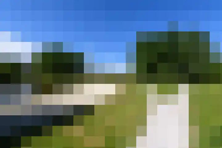 Rietpol 8 Drachten thumbnail 52