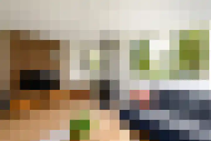 Rietpol 8 Drachten thumbnail 6