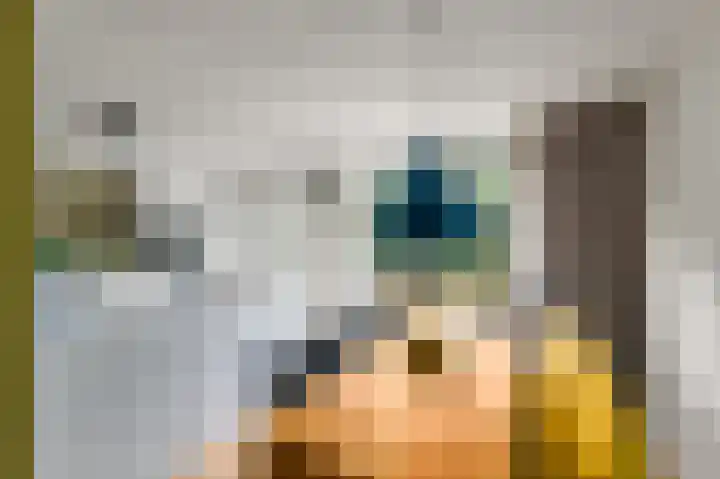 Rietpol 8 Drachten thumbnail 9