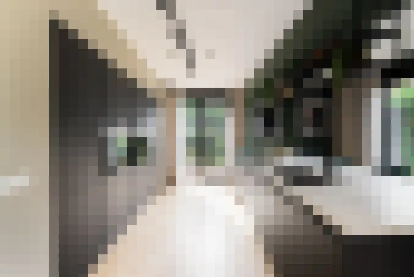 Rietpolderlaan 28 Muiden thumbnail 4