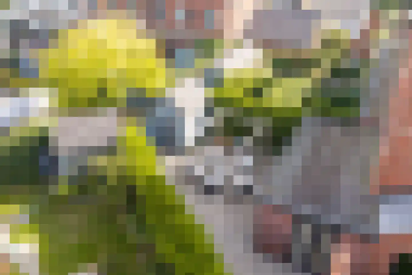 Rietpolderlaan 28 Muiden thumbnail 40