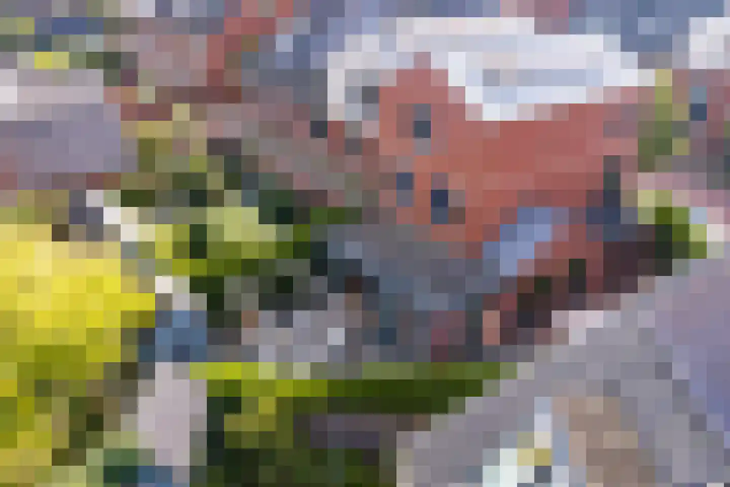 Rietpolderlaan 28 Muiden thumbnail 5