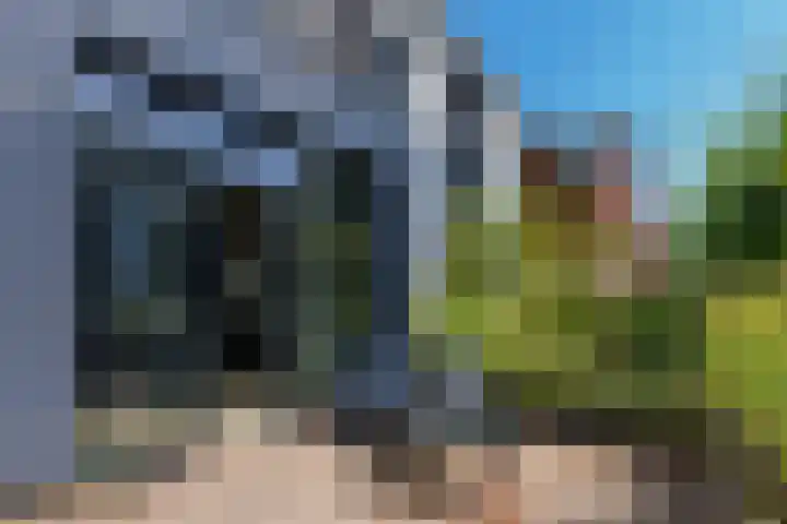 Rietpolderlaan 36 Muiden thumbnail 17
