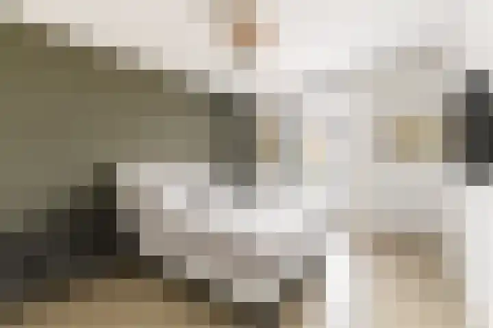 Rietpolderlaan 36 Muiden thumbnail 20